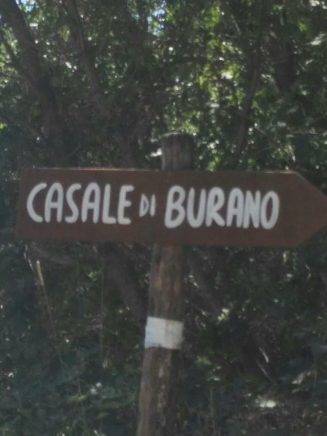 Casale Di Burano Lejlighed Onano Eksteriør billede