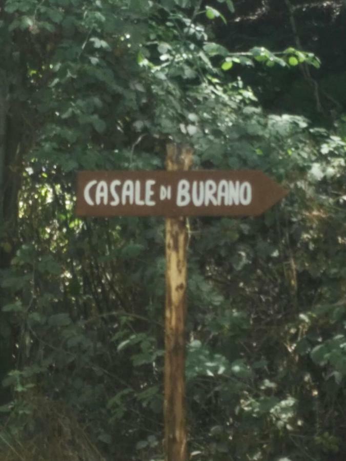 Casale Di Burano Lejlighed Onano Eksteriør billede